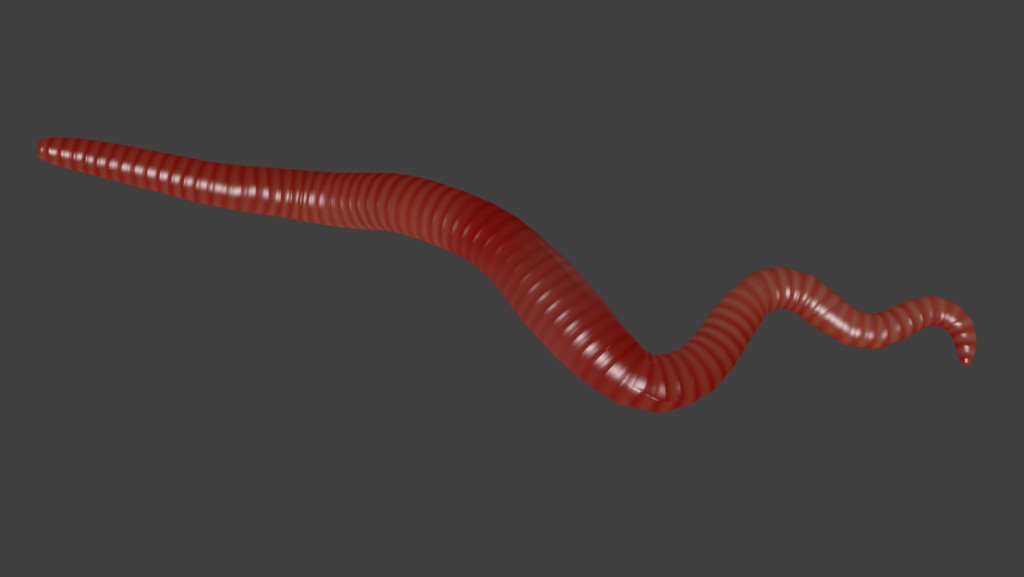 Worm (rigged) preview image 1
